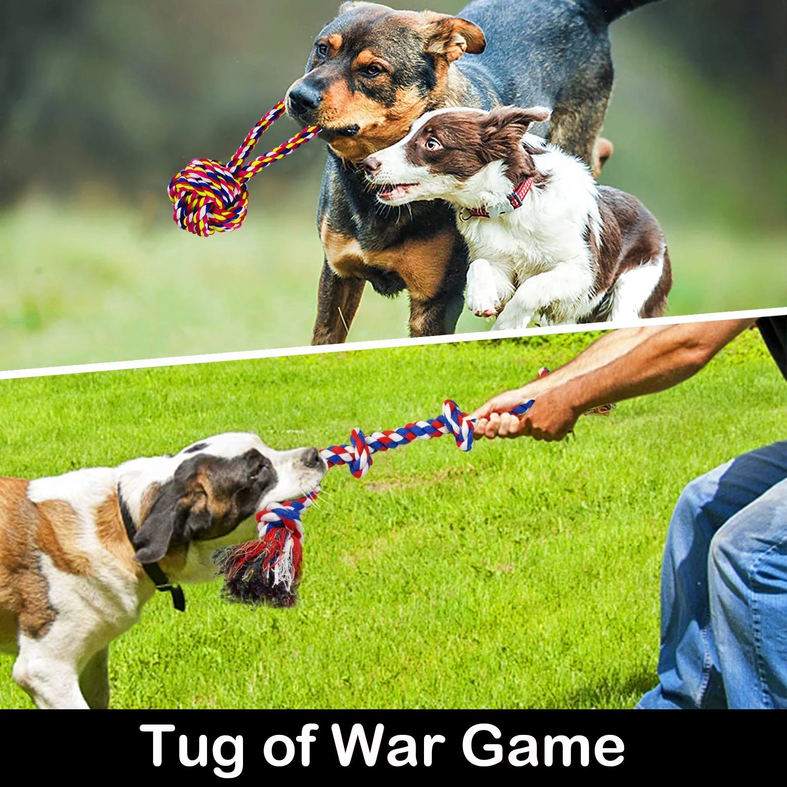 Tough Dog Rope Toys for Aggressive Chewers