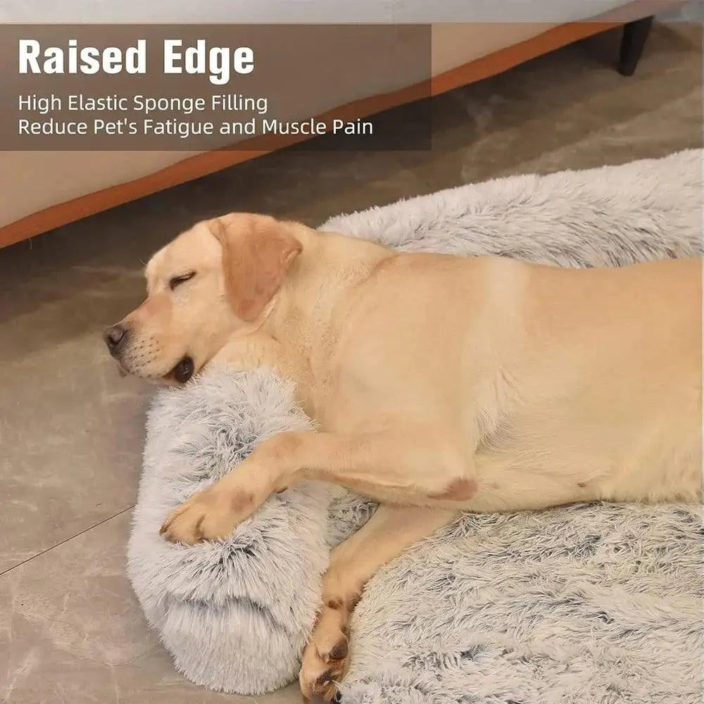 Premium Washable Plush Dog Sofa Bed