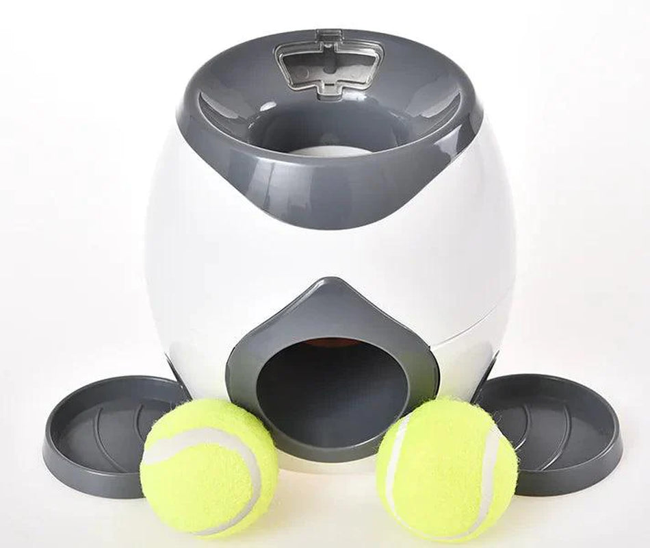 Automated Pet Feeder with Integrated Tennis Ball Launcher