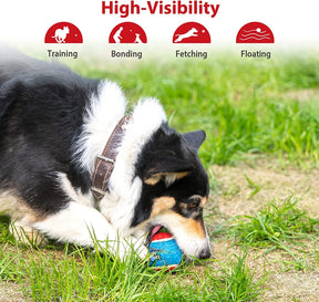 Dogs - High Bounce Interactive Toys