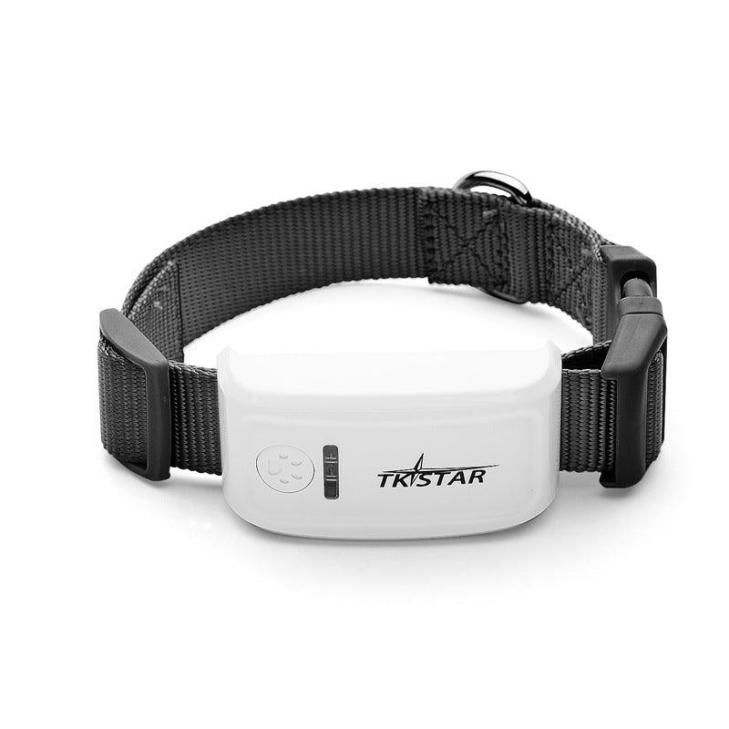 Pettrack GPS: The Premier Locator Device for Your Cherished Pets