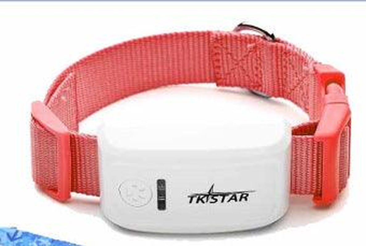 Pettrack GPS: The Premier Locator Device for Your Cherished Pets