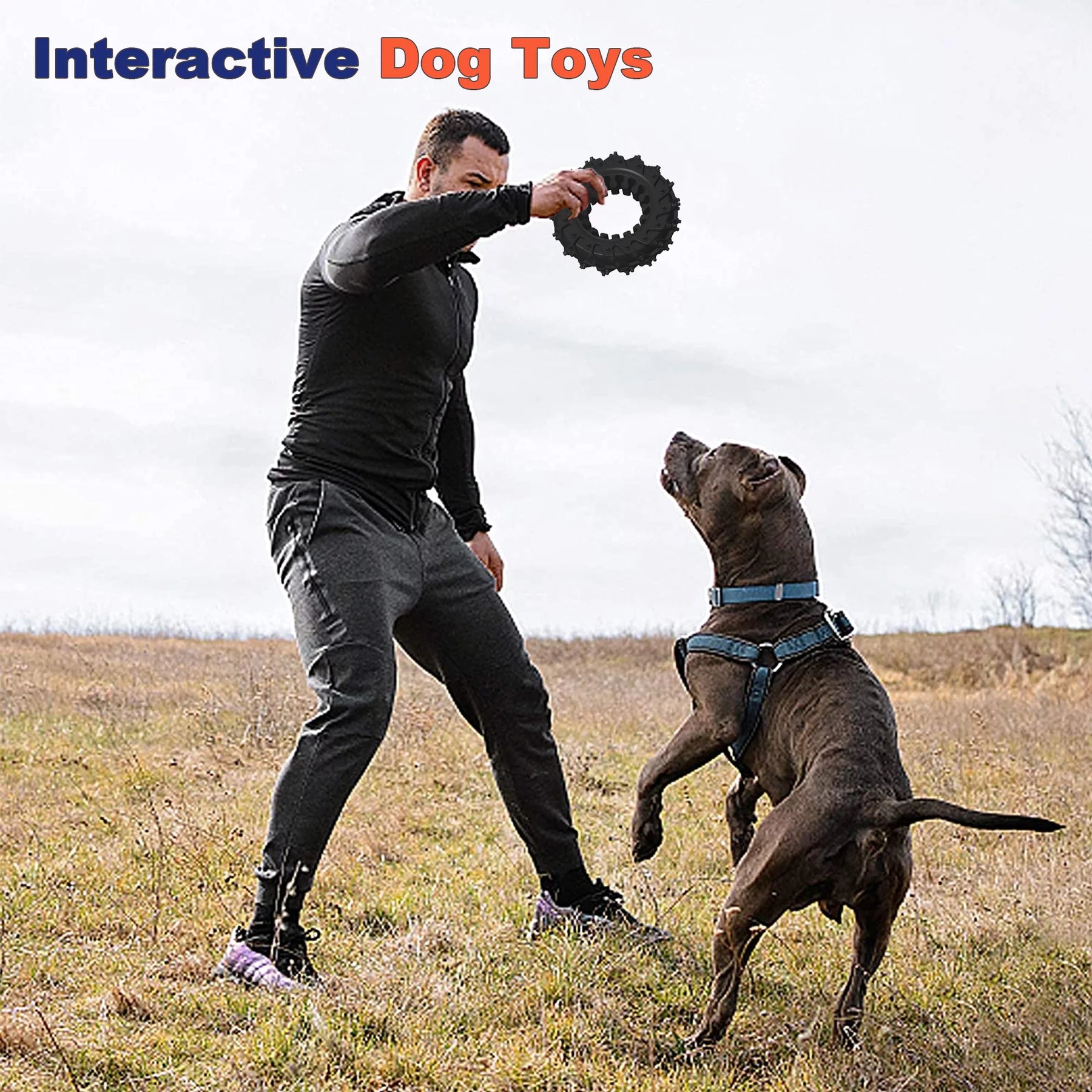 Tough Dog Toys for Aggressive Chewers Large Breed,Rubber Tire Dog Toy for Teething, Indestructible Dog Toys,Durable Dog Chew Toys for Aggressive Chewers,Puppy,Small, Medium