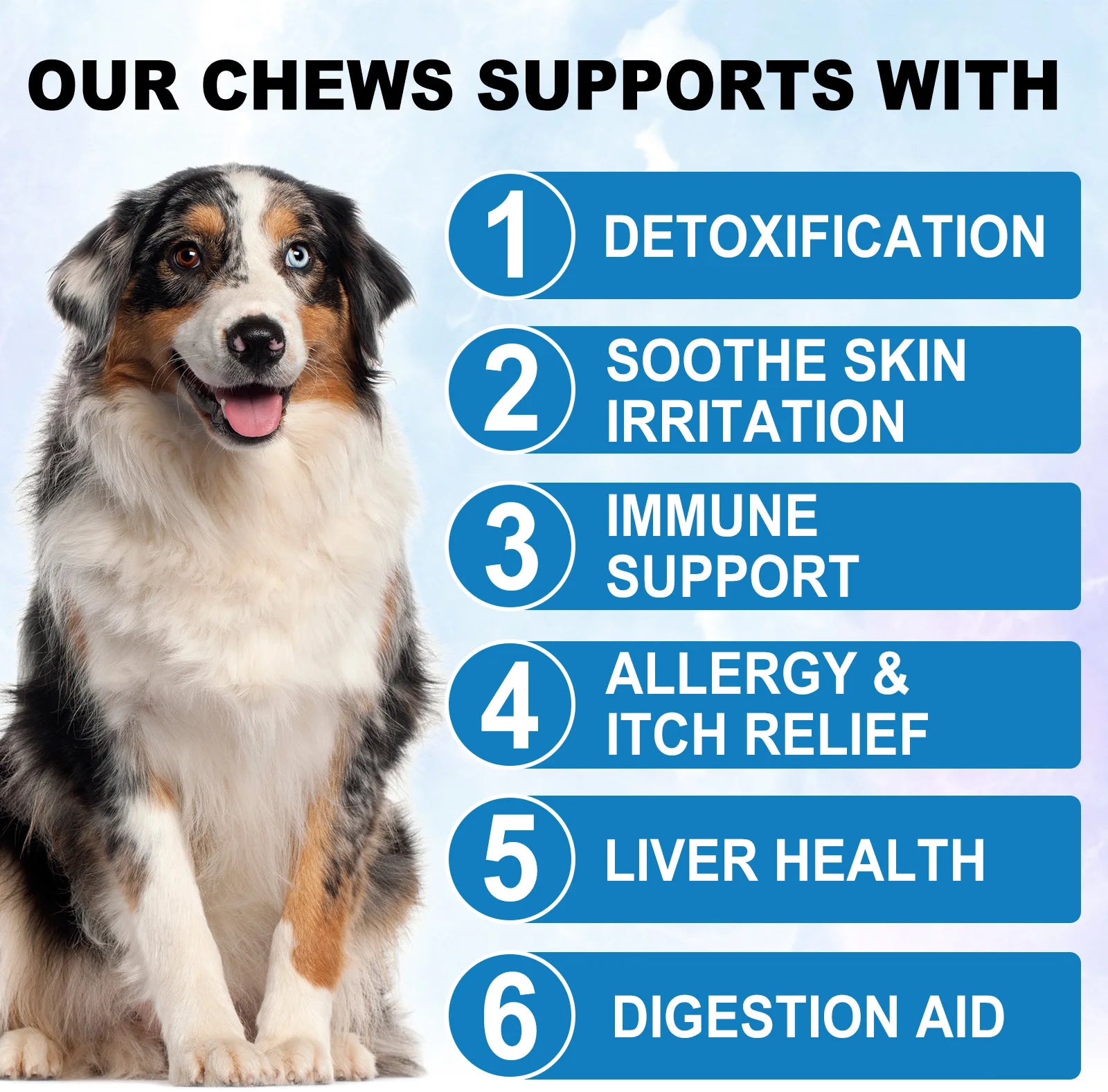 Dog Allergy Relief Chews 60 Count