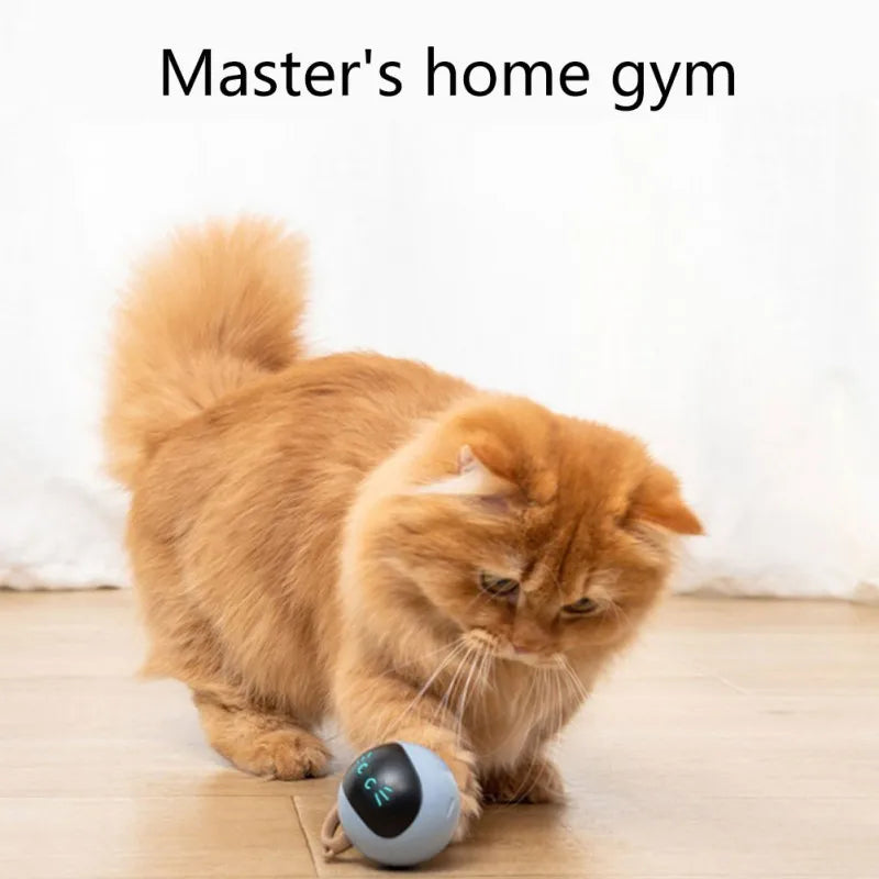 USB Rechargeable Smart Cat Toy