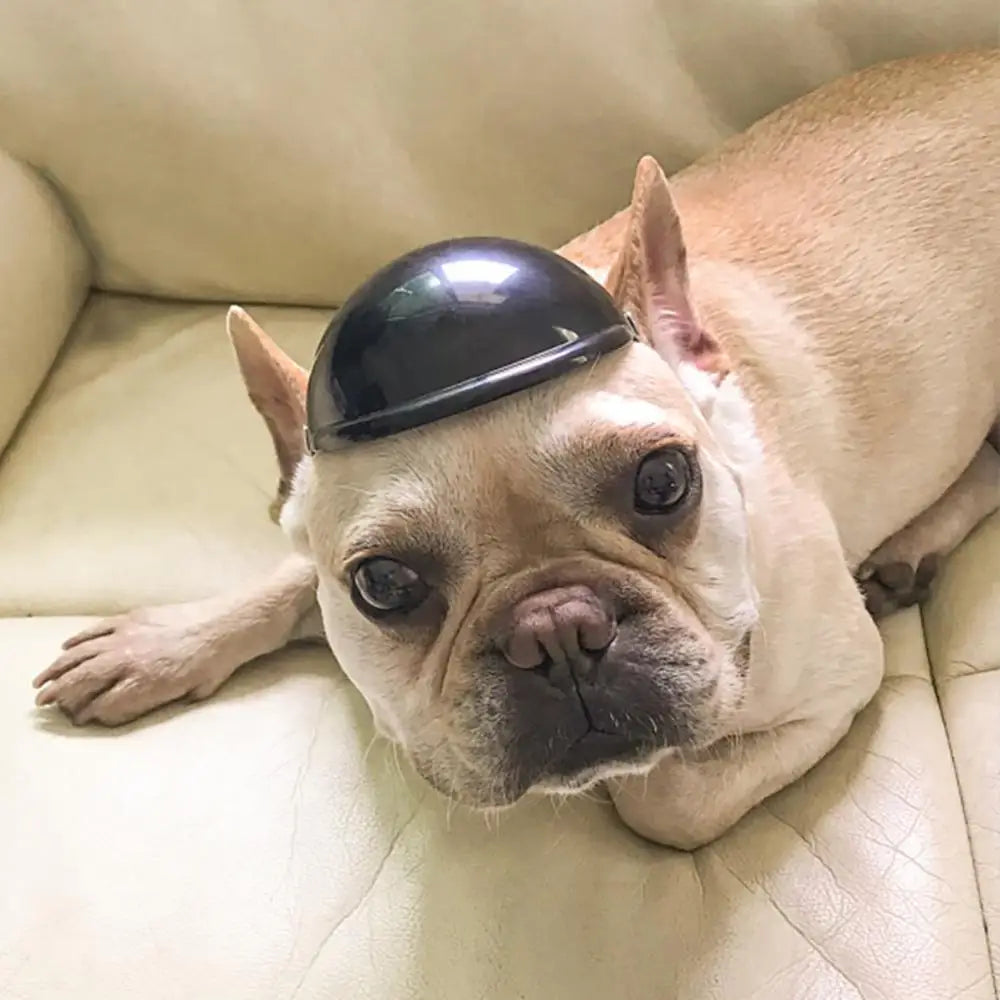 Pet Dog Helmet Toy Hat