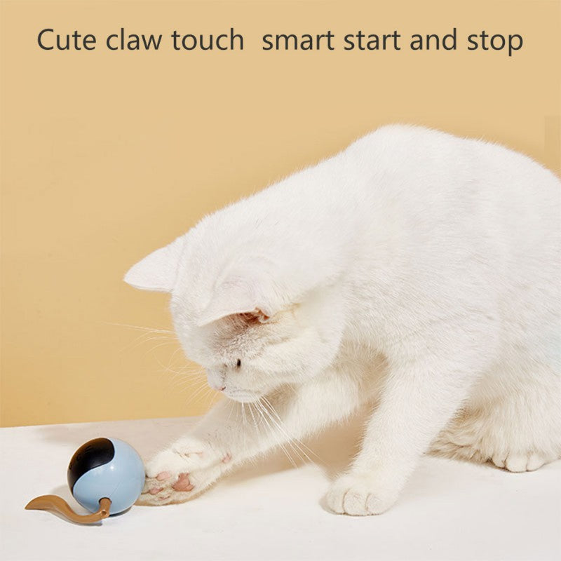 USB Rechargeable Smart Cat Toy