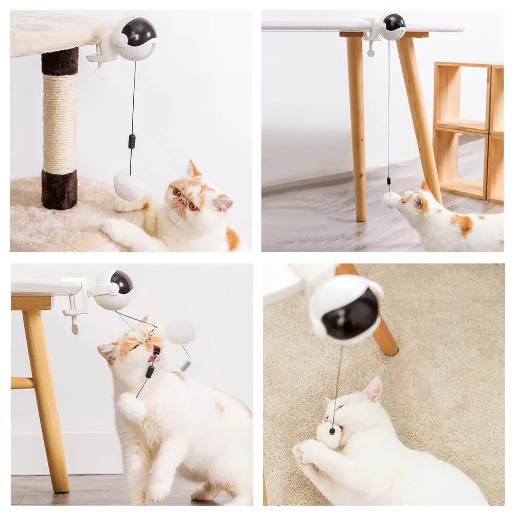 Electronic Motion Cat Teaser Toy