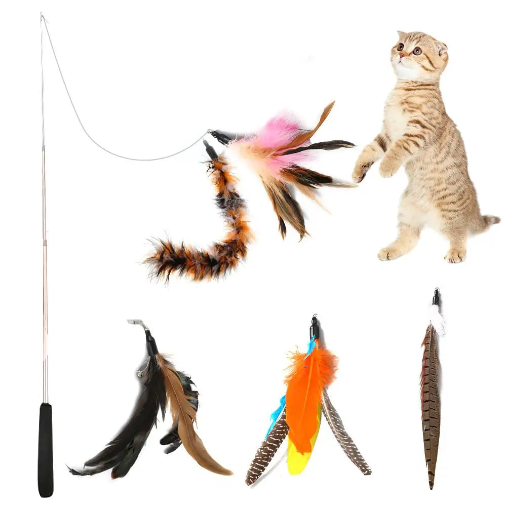 Electronic Motion Cat Teaser Toy