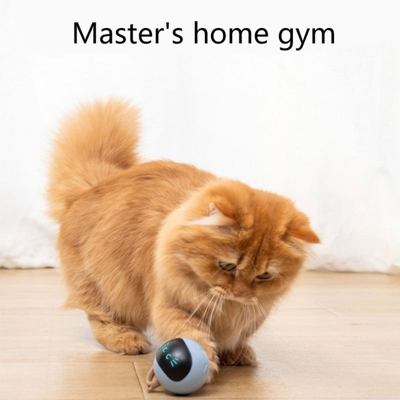 USB Rechargeable Smart Cat Toy