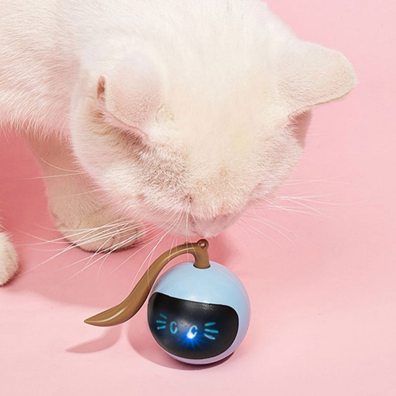 USB Rechargeable Smart Cat Toy