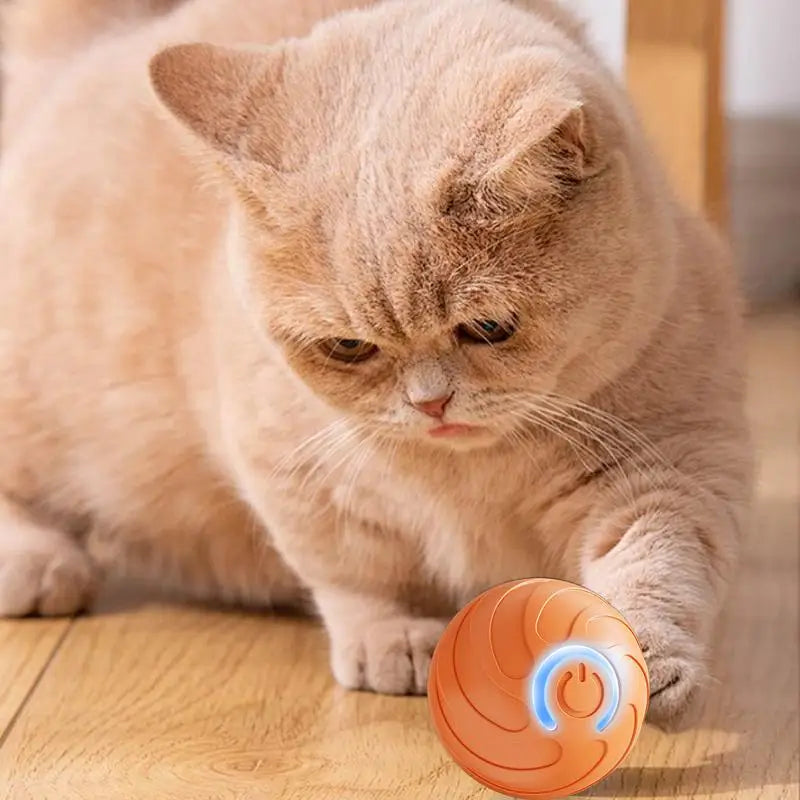 Smart Interactive Dog Toy Ball