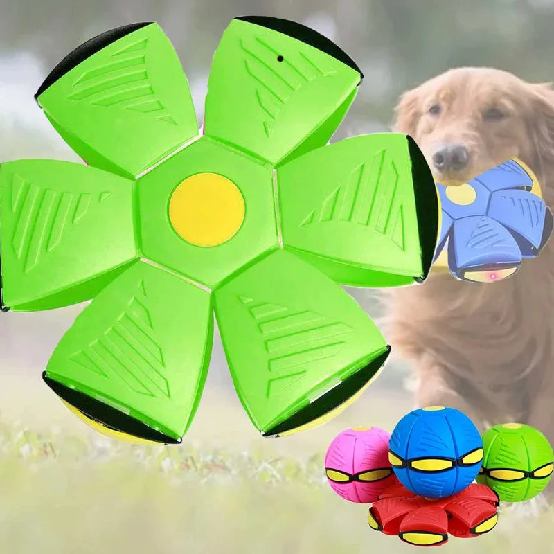 Flying Disc Interactive Dog Toy