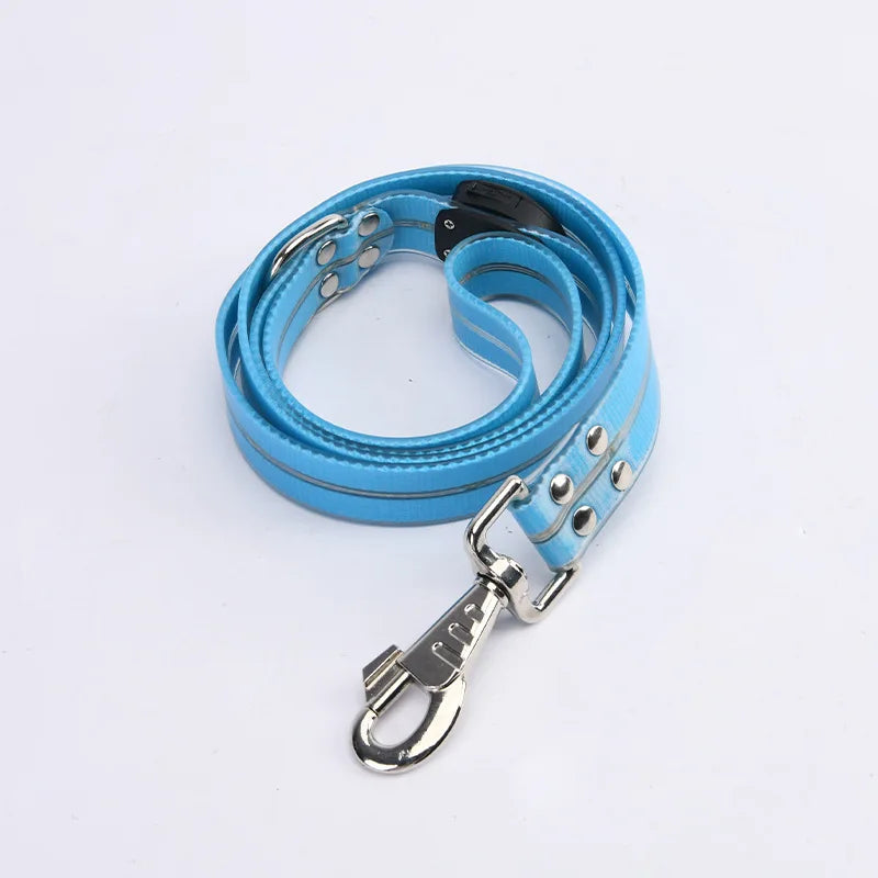 LED Light-Up Dog Collar Leash