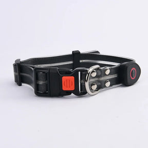 LED Light-Up Dog Collar Leash