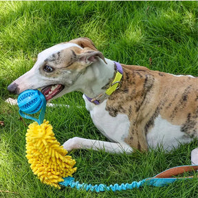 Dog Tug Squeaky Chew Toy