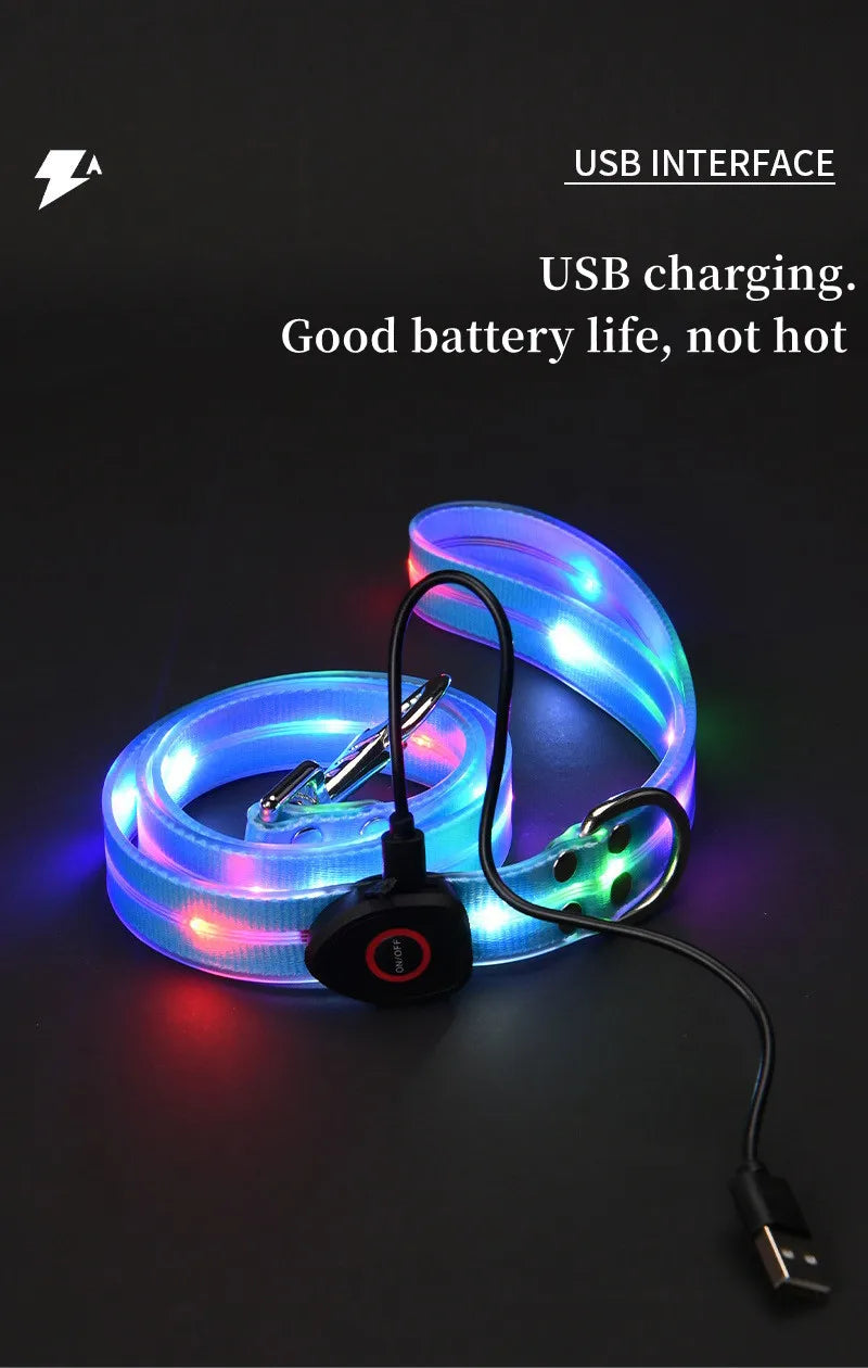 LED Light-Up Dog Collar Leash