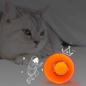 Glowing Automatic Rolling Cat Toy