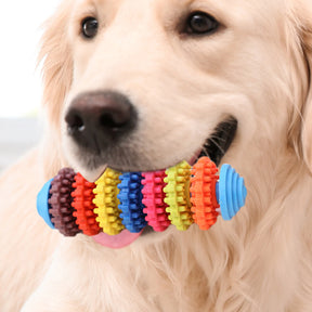 Colorful Dog Teething Chew Toys