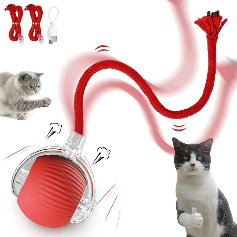 Pet Interactive Cat Toy Ball Electric Rolling Ball Toy Cat Kitten Pet Automatic Teaser USB Rechargeable Training Toy Ball