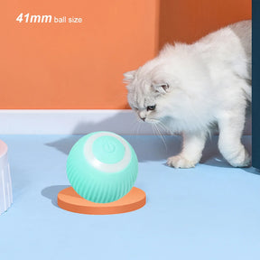 Interactive 2-in-1 Cat Toy