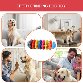 Colorful Dog Teething Chew Toys