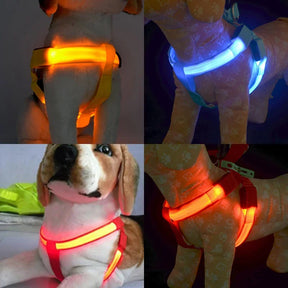 USB Rechargeable LED Dog Harness