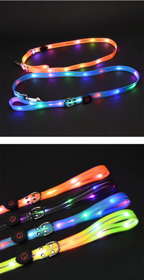 LED Light-Up Dog Collar Leash