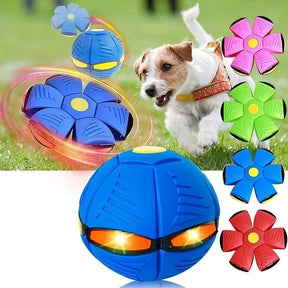 Flying Disc Interactive Dog Toy