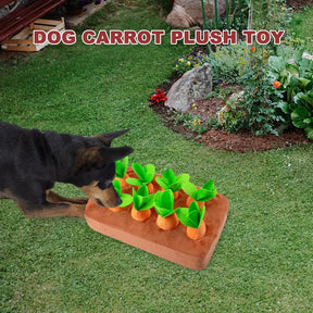 Plush Carrot Dog Toy