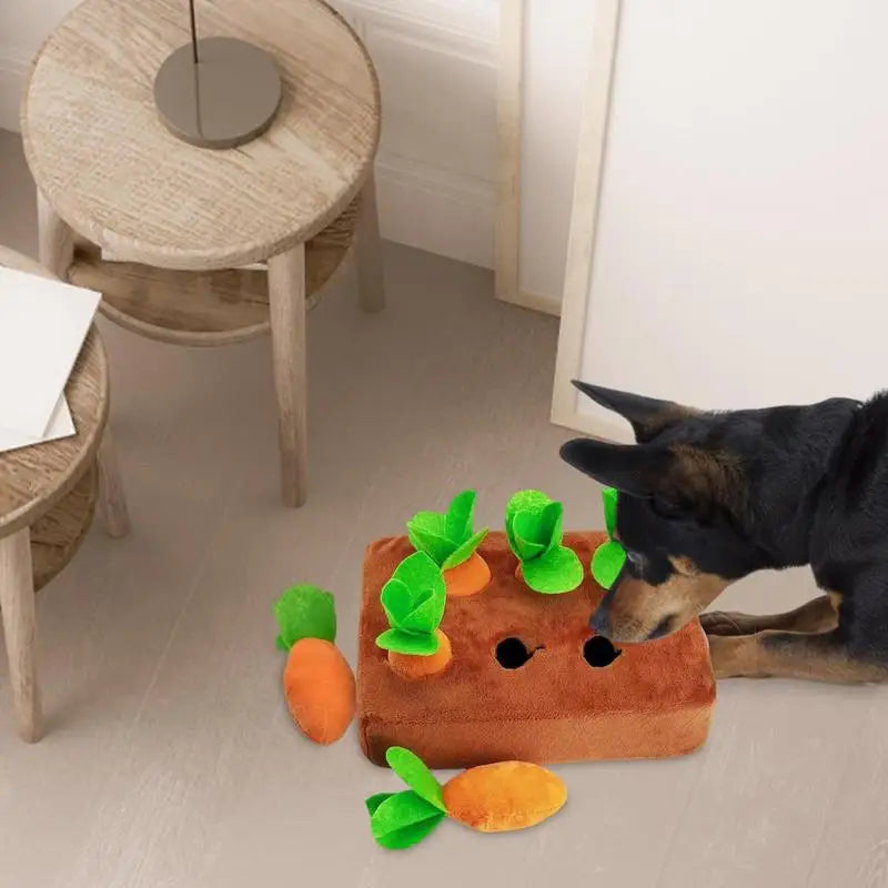 Plush Carrot Dog Toy