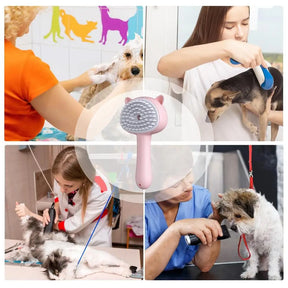 Steam Cat Brush 3 In 1 Pet Steamer Massage Brush Self-Cleaning Wet Cat Comb Water Tank Suitable For Dogs Cats Reduce Flying Hair