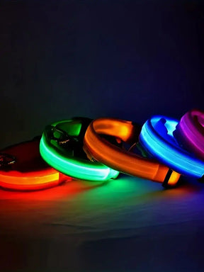 Reflective LED Dog Collar