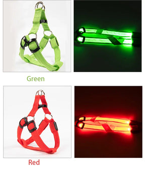 USB Rechargeable LED Dog Harness