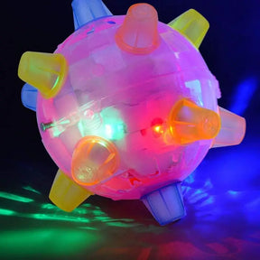 Flashing LED Dog Ball Toy