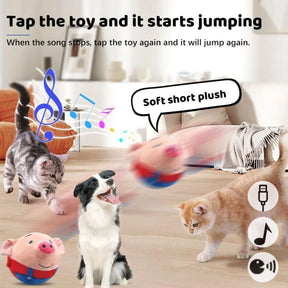 USB Rechargeable Squeaky Dog Toy