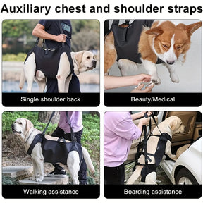 Adjustable Dog Lift Harness Support Sling | Pet Rehabilitation Straps for Old & Disabled Dogs | Padded Breathable Aid for Joint