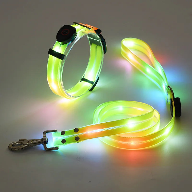 LED Light-Up Dog Collar Leash