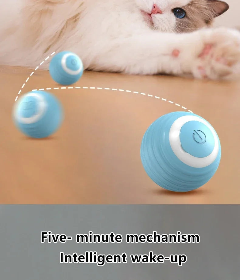 Electric Interactive Cat Ball Toy