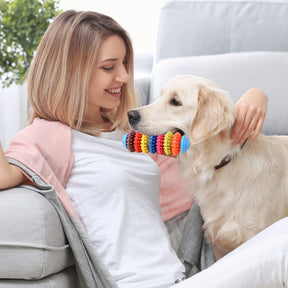 Colorful Dog Teething Chew Toys