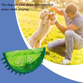 Durable Puppy Chewing Toy