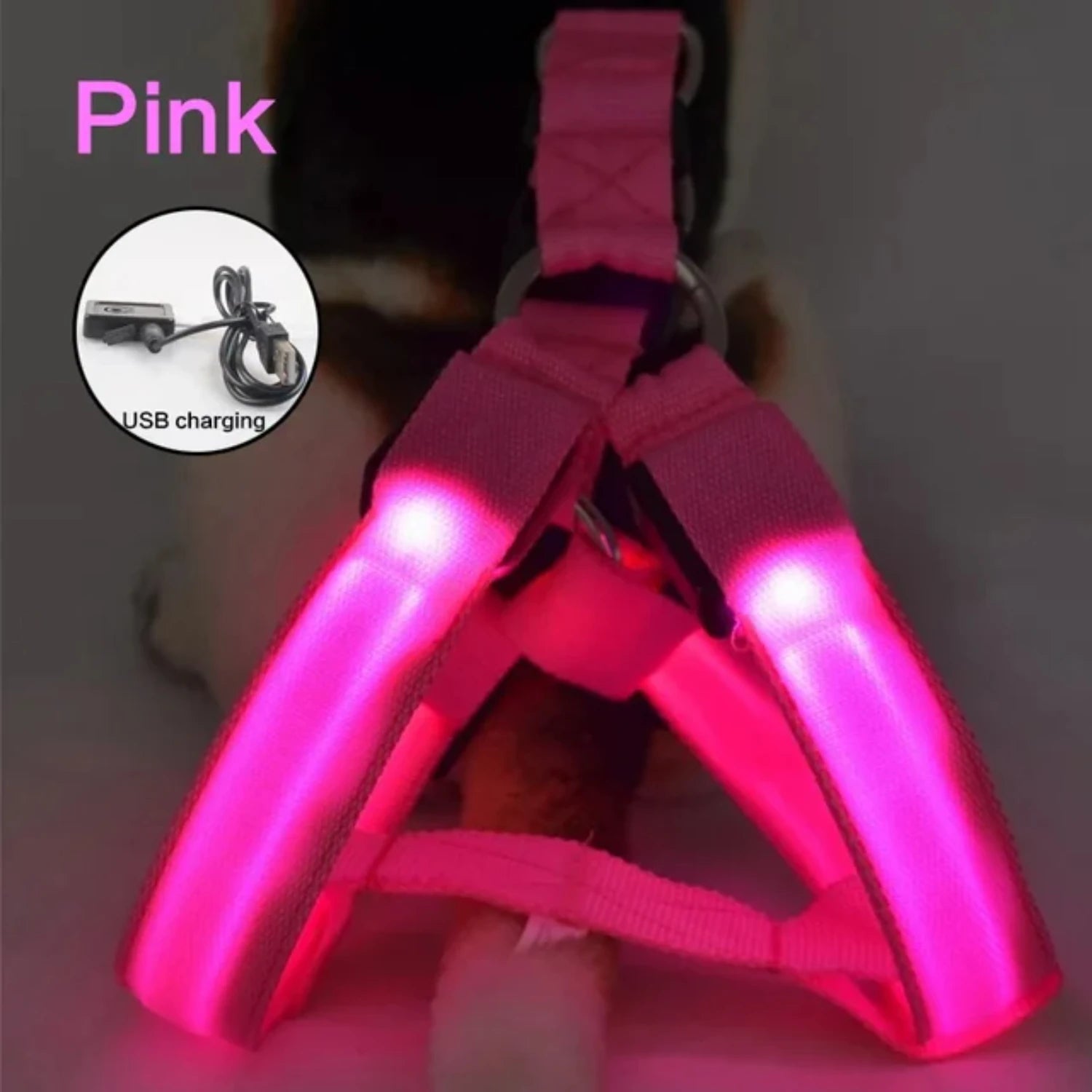 USB Rechargeable LED Dog Harness