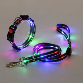 LED Light-Up Dog Collar Leash