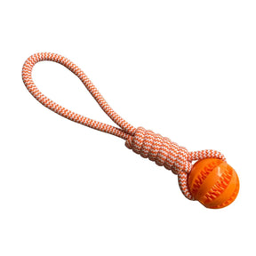 Interactive Dog Treat Rope Balls