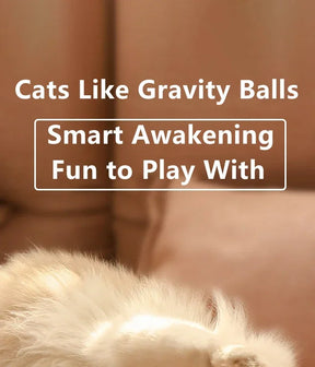 Electric Interactive Cat Ball Toy