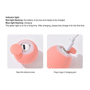 Glowing Automatic Rolling Cat Toy