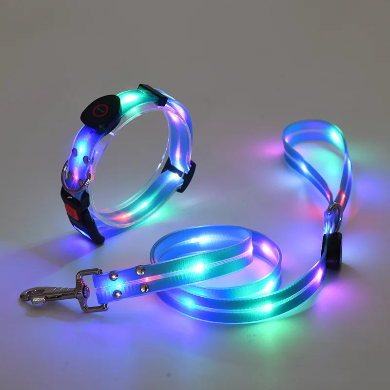 LED Light-Up Dog Collar Leash