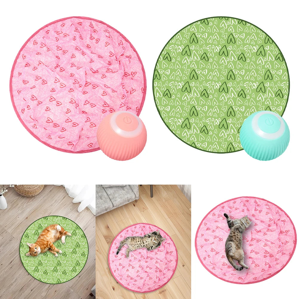 Interactive 2-in-1 Cat Toy