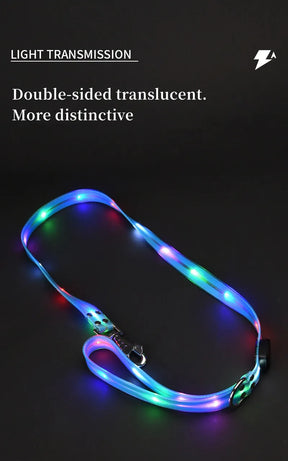 LED Light-Up Dog Collar Leash