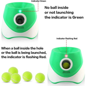 Automatic Dog Ball Launcher